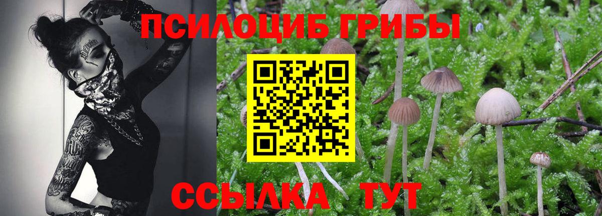 Галлюциногенные грибы GOLDEN TEACHER Павловский Посад